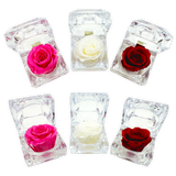 Diamond Real Preserved Rose Keepsake - 12 Pieces Per Retail Ready Display 24712