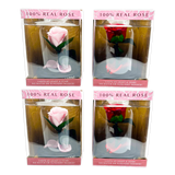 Glass Dome Real Preserved Rose Keepsake - 4 Pieces Per Retail Ready Display 25008