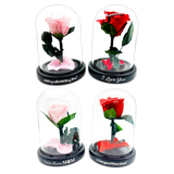 Glass Dome Real Preserved Rose Keepsake - 4 Pieces Per Retail Ready Display 25008