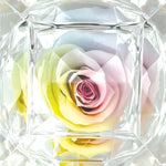 Diamond Real Preserved Rose Keepsake - 12 Pieces Per Retail Ready Display 25074 KIPP BROTHERS