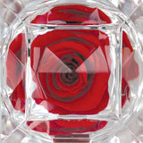 Diamond Real Preserved Rose Keepsake - 12 Pieces Per Retail Ready Display 25074 KIPP BROTHERS