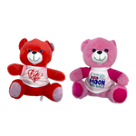 Valentines Day Glass Plush and Gift Assortment Floor Display - 56 Pieces Per Retail Ready Display Kit 88616 NOVELTY INC